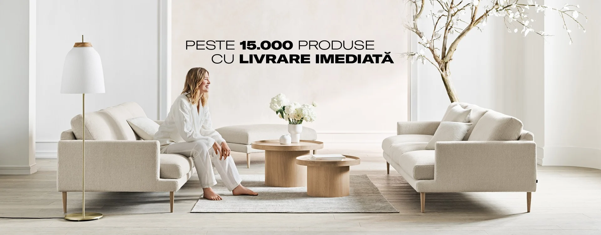 Mobilă și Decorațiuni în stil Scandinav